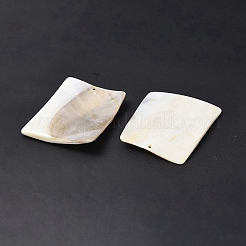 Пресноводных оболочки большие кулоны SHEL-C003-08