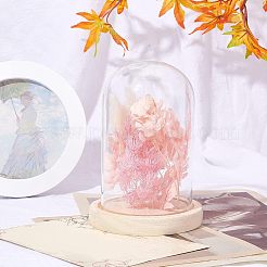 Стеклянный купол&nbsp;ODIS-WH0010-41B