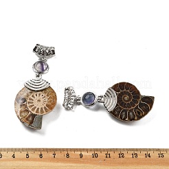 Подвески в виде улитки из натурального флюорита&nbsp;G-F062-14