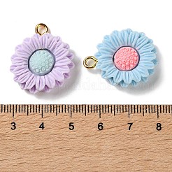 Подвески из непрозрачной смолы&nbsp;RESI-F065-01