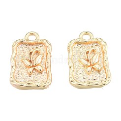 Латунь подвески&nbsp;KK-N231-377