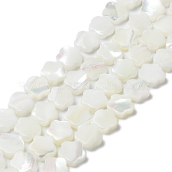 Нити бусин из натуральной ракушки трохус BSHE-P033-07