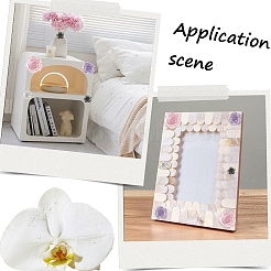 Кабошоны из прозрачной смолы&nbsp;CRES-SP0001-12