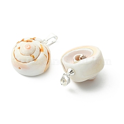 Pendentifs coquillages naturels shiva&nbsp;PALLOY-JF05393