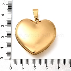 Pendentifs en acier inoxydable 304&nbsp;LS-STAS-H200-01G-15