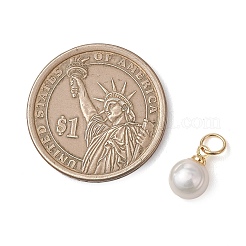 Подвески из натурального культивированного пресноводного жемчуга с двусторонней полировкой и фурнитурой из нержавеющей стали 304.&nbsp;PALLOY-JF05001-01