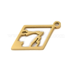 Подвески из нержавеющей стали 304&nbsp;LS-STAS-S123-01G-02