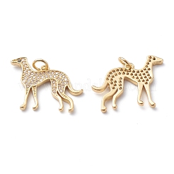 Латунные микропаве прозрачные подвески с фианитом ZIRC-H110-02G