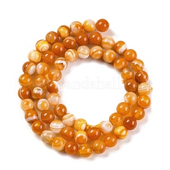 Натуральные полосатые агатовые / полосатые агатовые бусинки G-H037-A02-01