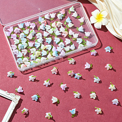 11 комплект подвесок из акриловых бусин&nbsp;FIND-SC0016-66