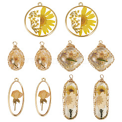 10шт 5 стиля подвески из эпоксидной смолы&nbsp;FIND-TA0008-97