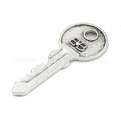 Aleación de estilo tibetano grandes colgantes&nbsp;FIND-M056-07D-AS