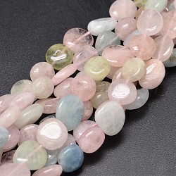 Pépites morganite naturels teints brins de perles, pierre roulée, 9~12x8~13x5~7mm, Trou: 1mm, environ 15.3 pouce ~ 15.7 pouces