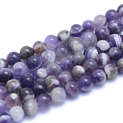 Chapelets de perles en améthyste naturelle, ronde, 8~8.5mm, Trou: 0.8mm, Environ 50 pcs/chapelet, 15.55 pouce (39.5 cm)