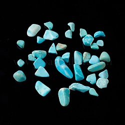 Perles de copeaux de magnésite naturelle, teints et chauffée, pas de trous / non percés, 5~10.5x5~7x2~4mm