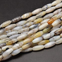 Brins de perles d'agate dendritique naturelle de riz, 20x8mm, Trou: 1.2mm, Environ 19 pcs/chapelet, 15.1 pouce