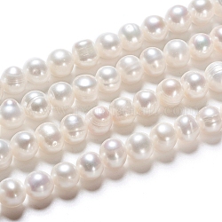 Fili di perle di perle d'acqua dolce coltivate naturali, tondo, bianco antico, 7~8x6~7mm, Foro: 0.6 mm, circa 25pcs/filo, 7.68 pollice (19.5 cm)