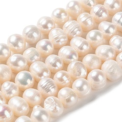 Fili di perle di perle d'acqua dolce coltivate naturali, patata, grado a ++, papayawhip, 6~8.5x7~8mm, Foro: 0.5 mm, circa 51pcs/filo, 13.19 pollice (33.5 cm)