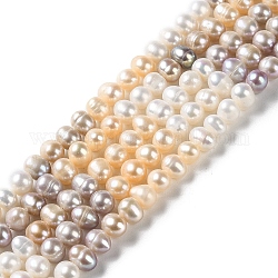 Hebras de perlas de agua dulce cultivadas naturales, patata, grado a +, colorido, 6~7.5x6~6.5mm, agujero: 0.5 mm, aproximamente 59 pcs / cadena, 13.86~13.98 (35.2~35.5 cm)