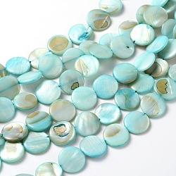 Chapelets de perles de coquillage naturel, teinte, plat rond, bleu, environ 14 mm de diamètre, épaisseur de 3mm, Trou: 1~1.2mm, 28 pcs / chapelet, 16 pouce