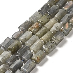 Chapelets de perles en labradorite naturelle , avec des perles de rocaille, facette, colonne, 8.5~11x5.5~6.5mm, Trou: 1mm, Environ 14~15 pcs/chapelet, 7.48'' (19 cm)