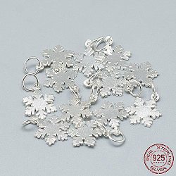 Encantos de plata 925 esterlina, con anillo de salto, copo de nieve, plata, 14.5x10.5x1mm, agujero: 4 mm