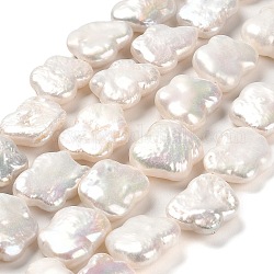 Naturales keshi abalorios de perlas hebras, perla cultivada de agua dulce, perlas barrocas, grado 4a+, mariposa, nieve, 12~16x10~13x4~6mm, agujero: 0.7 mm, aproximamente 27 pcs / cadena, 14.76''~14.96'' (37.5~38 cm)