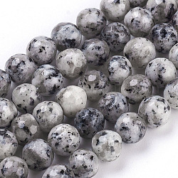 Facettiert rund natürliche Achat Perlen Stränge, gefärbt, dunkelgrau, 8 mm, Bohrung: 1.5 mm, ca. 45 Stk. / Strang, 14.9 Zoll