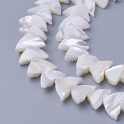 Shell Beads Strands, Triangle, 5.7~8.1x11~12x3~3.3mm, Hole: 0.7mm, about 62pcs/strand, 15.9 inch(40.4cm)