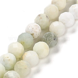 Natürlichen grünen Opal Perlen Stränge, facettiert, Runde, 6 mm, Bohrung: 0.7 mm, ca. 62 Stk. / Strang, 15.55'' (39.5 cm)