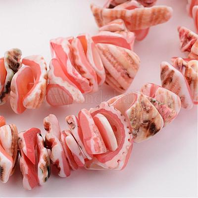 Conchiglia naturale fili di perle&nbsp;BSHE-P010-03-1