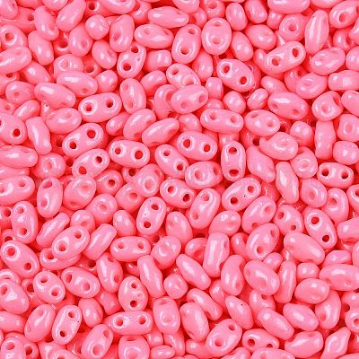 Выпечка краска стеклянные бусины SEED-T006-03P-1