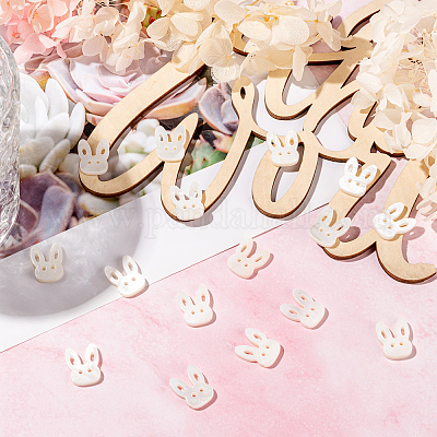 Бусины из натуральных пресноводных раковин кролика SHEL-CJ0001-13-1