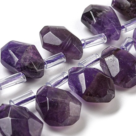 Natural Amethyst Beads Strands G-Z040-A10-01-1