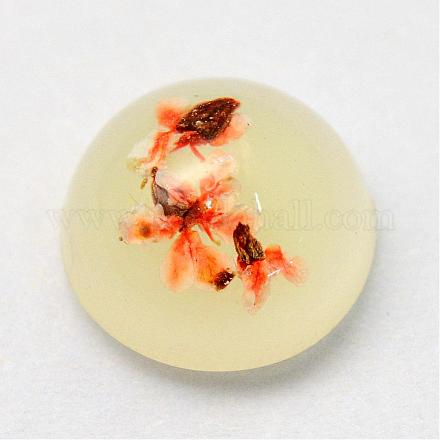 Resin Cabochons RESI-S320-8mm-01-1