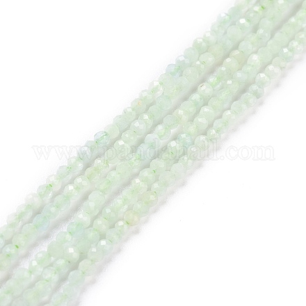 Chapelets de perles en morganite naturelle G-D463-03-1