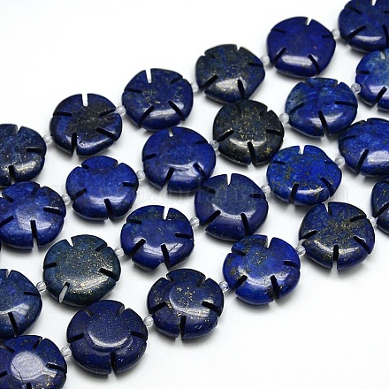 Natural Lapis Lazuli Flower Bead Strands G-L173-20mm-05-1