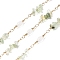 Brass Link Chains, with Glass & Prehnite Beads, Long-Lasting Plated, Soldered, with Spool, Golden, 20x4.5mm, about 16.40 Feet(5m)/Roll