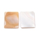Perles de coquillages naturels d'eau douce BSHE-B003-03-2