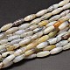 Brins de perles d'agate dendritique naturelle de riz G-M257-20x8mm-18-1