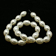 Abalorios de perla de vidrio HY-D239-1-2