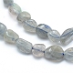 Natural Labradorite Beads Strands X-G-L550A-06-2