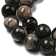 Natural Black Fossil Coral Beads Strands G-R494-A04-04-3