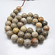 Natural Fossil Coral Beads Strands G-G212-4mm-31-2