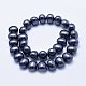 Electroplate Shell Pearl Beads Strands BSHE-G006-04E-2