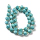 Dyed Natural Howlite Beads Strands G-G023-B01-02B-3