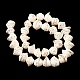 Chapelets de perles en coquillage naturel X-BSHE-O016-04-01-3