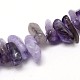 Natural Amethyst Beads Strands G-O051-13-3