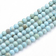 Synthetic Turquoise Beads Strands G-Q953-03-8mm-1
