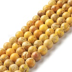 Hilos de cuentas de jaspe imperial natural, teñido, redondo, oro, 8~8.5mm, agujero: 1~1.2 mm, aproximamente 47~48 pcs / cadena, 15.16 pulgada (38.5 cm)
